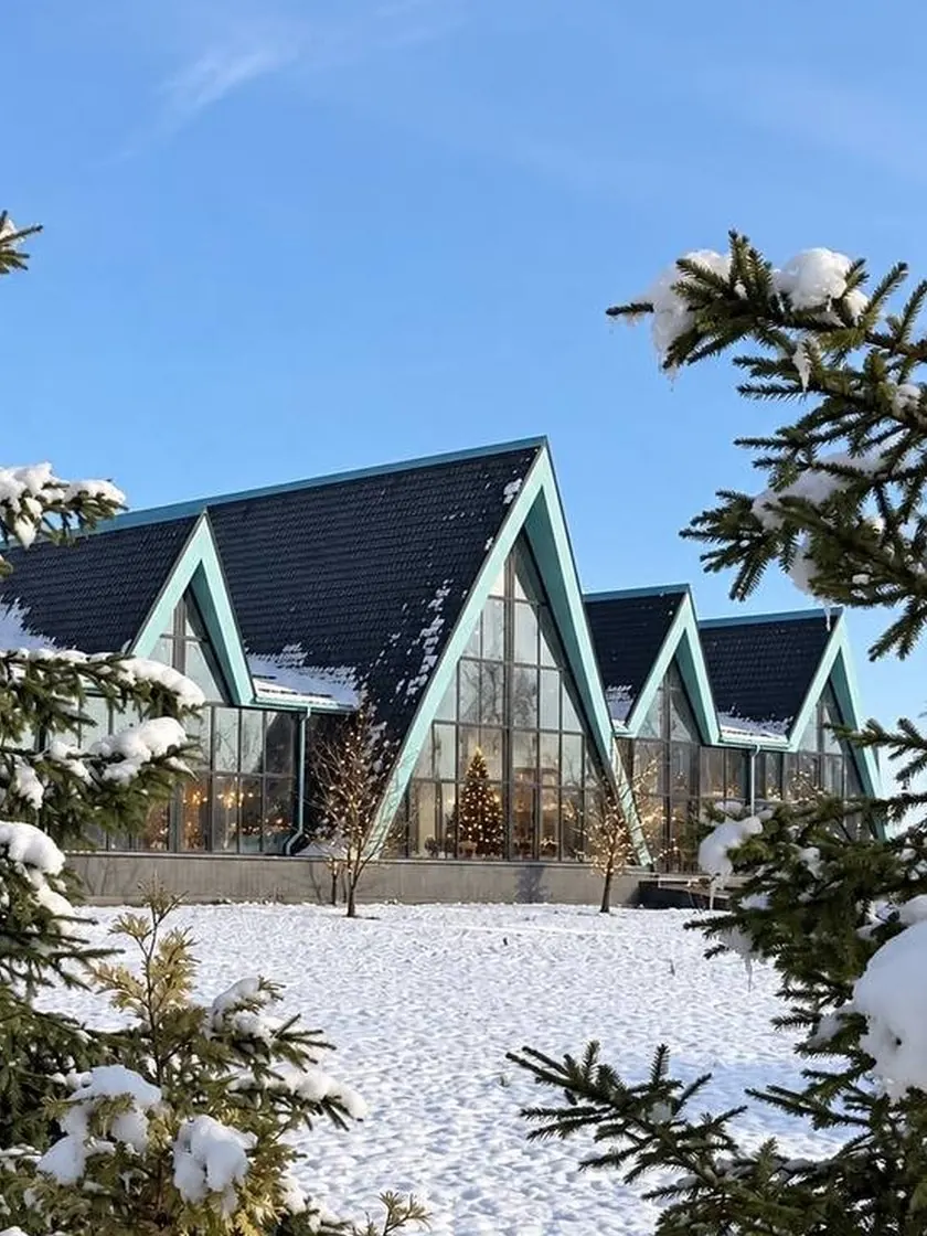 Новогодний корпоратив за городом